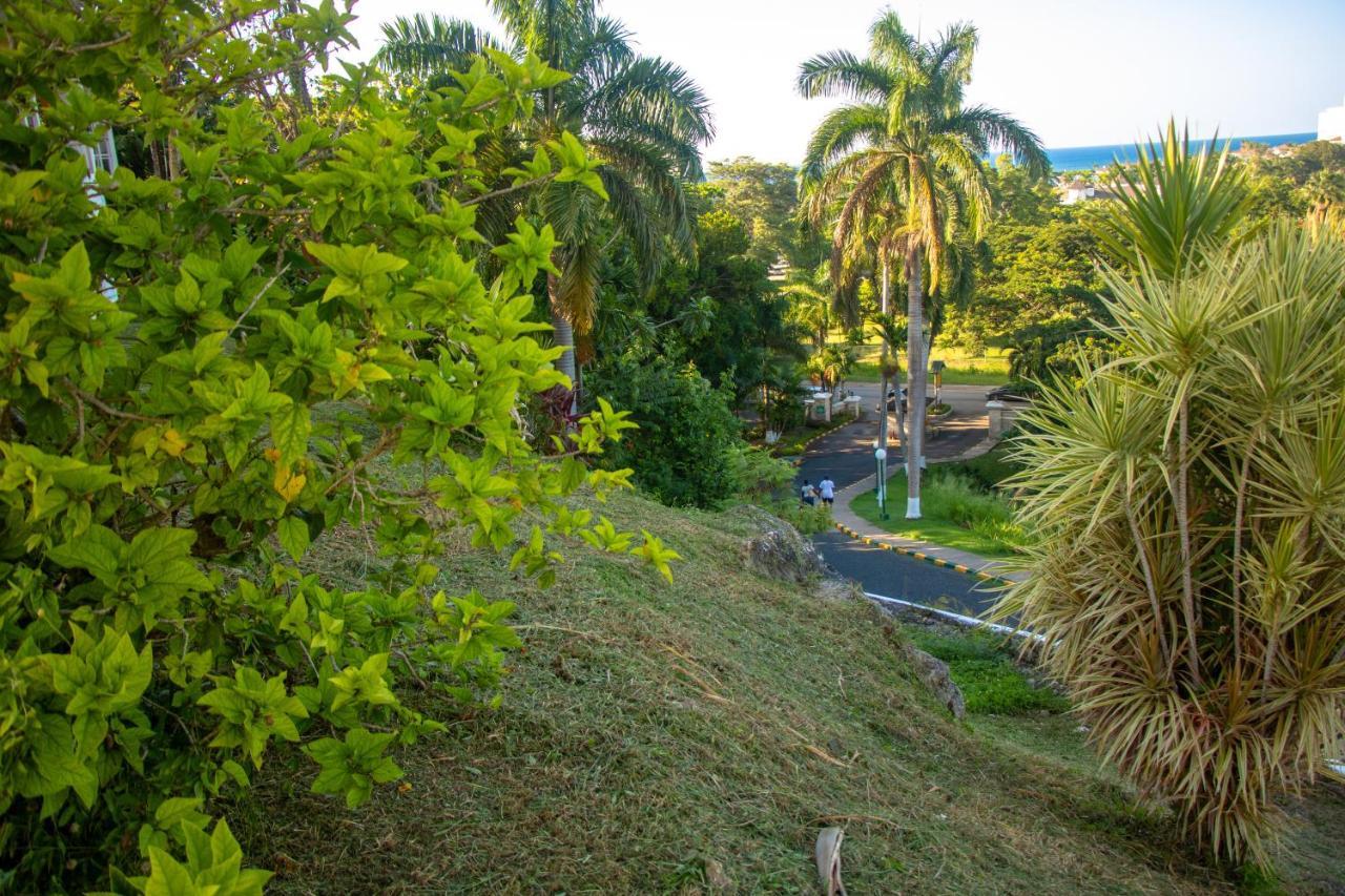 E 20 Mystic Ridge Ocho Rios Apartment Exterior foto